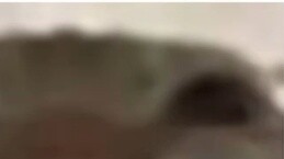 【Little C Zu】The latest video is online, come and watch!