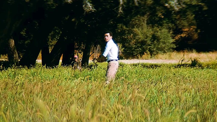 Nếu có Pokémon thần tiên, bạn sẽ chọn con nào?