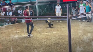 Kanawayon Vs Talisayin