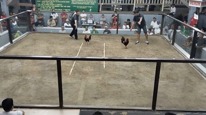 2nd fight champion NGC timbangan