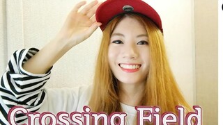 Burning ahead! Sword Art Online OP "CROSSING FIELD" cover