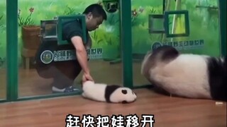奶爸知道妈妈的起床动作，赶快把娃移开