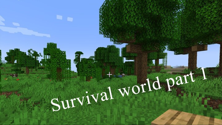 Survival world part 1