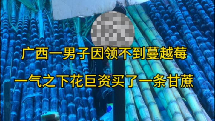 ชายชาวกว่างซีคนหนึ่งโกรธจนต้องควักเงินก้อนใหญ่ซื้ออ้อยหนึ่งลำ เพราะไม่ได้รับแครนเบอร์รี่!