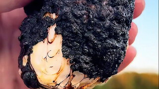 Immersive experience of burnt marshmallows