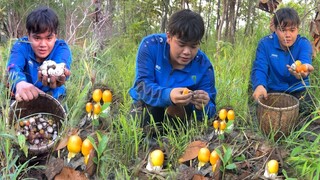 เก็บเห็ดดอกโงก ม่วนหลายจนได้ฟ้อน