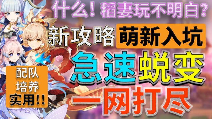 Rencana transformasi pemula Inazuma Genshin Impact, rumus komposisi tim yang sangat lengkap, jangan 