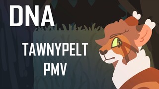 DNA || A Short Tawnypelt PMV