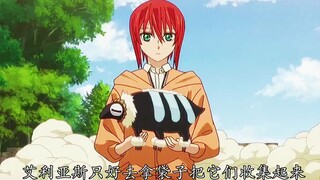 魔法使的新娘 ：会飞的小绵羊你见过吗？