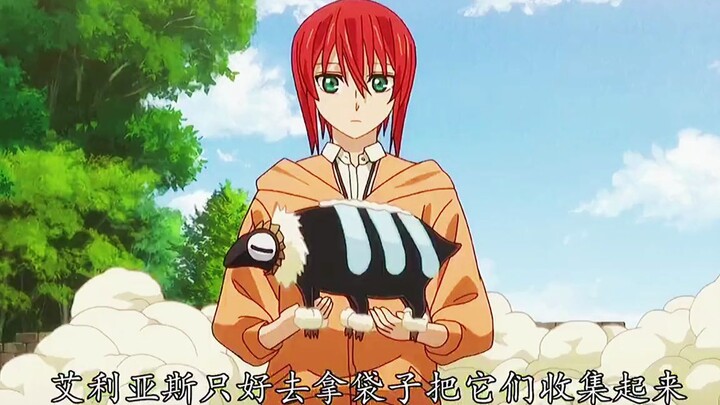 魔法使的新娘 ：会飞的小绵羊你见过吗？