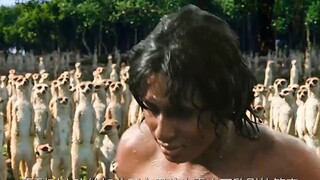 Hòn đảo hoang này hóa ra lại được hình thành từ các mô cơ thể người