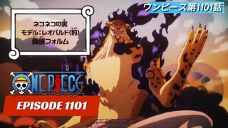 BOCORAN ONEPIECE EPISODE 1101