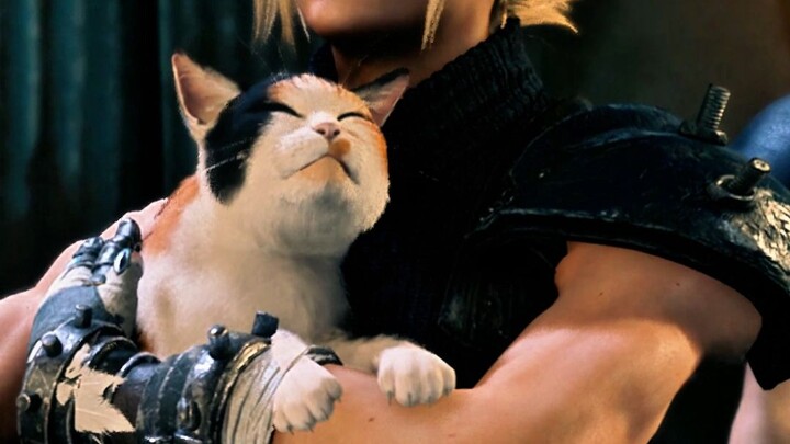 [FF7] Just Yunpian hugging a cat