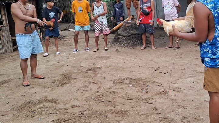 tupada line