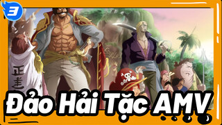 [Đảo Hải Tặc AMV] Sát cánh cùng bạn đồng hành, cho dù phải đối diện cái chết_3