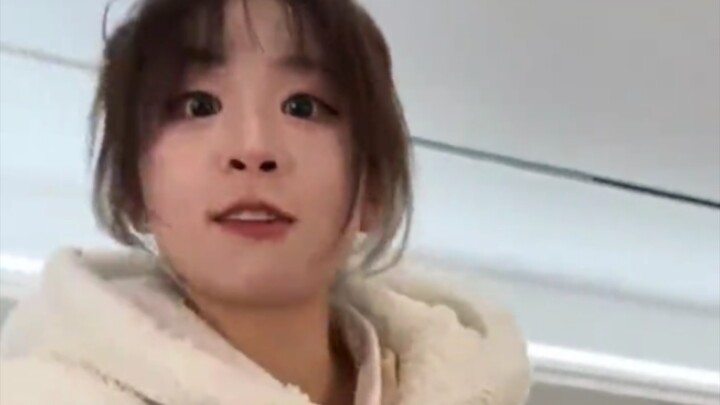“ไทแรนโนซอรัสแห่งเสฉวน-ฉงชิ่ง”
