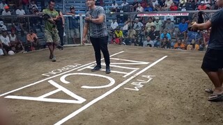 2hits Brassback LOSE @NICA