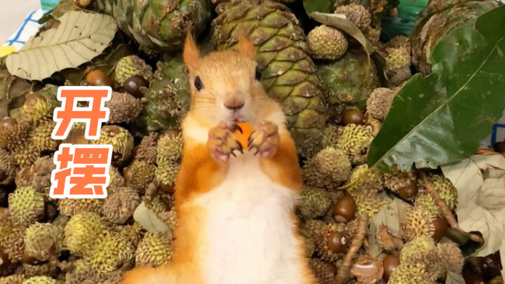 从 今 天 开 始 躺 平 ～