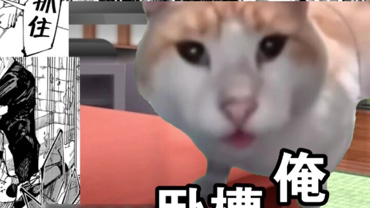 【Cat Meme】เกี่ยวกับการที่ฉันเลี้ยงเพื่อนที่ไม่ดีหลังจากกิน CP ต้องคำสาปจากยมโลก