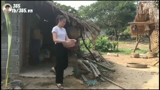 Một Công Đôi Việc | KTLN 365