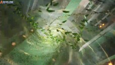 shrouding-the-heavens-episode 136