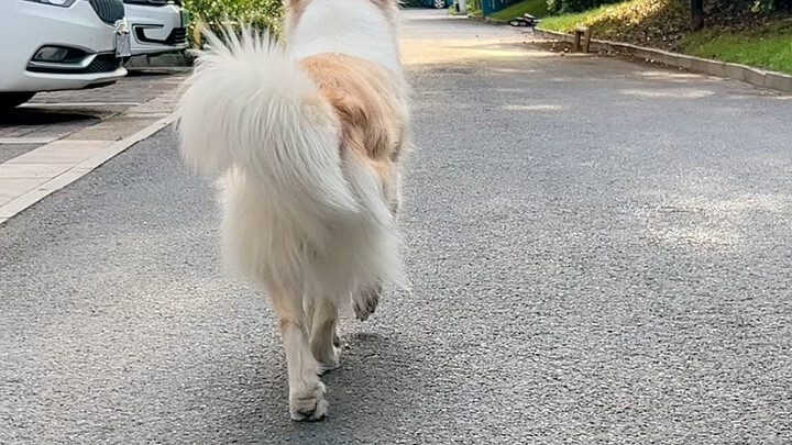 I haven’t strutted like a cat in ages.