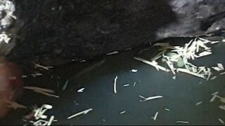 Fishing in Nepal | Himalayan Trout Fishing in Nepal |