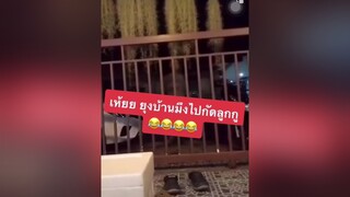 คนไทยเป็นคนตลก ขออนุญาตเจ้าของคลิป