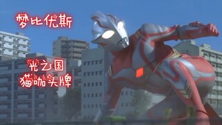 『小梦』光之国猫咖头牌