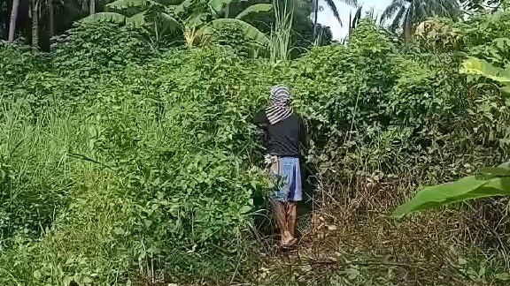 時間太無情，只有靠自己！這個世上，沒有什麼是一成不變的，感情會變，年齡會變，思想也會變。有的人變好了，變懂事了，有的人變壞了，變虛偽了。你不變，別人也會變，你不變，社會也在變，你不變，就跟不