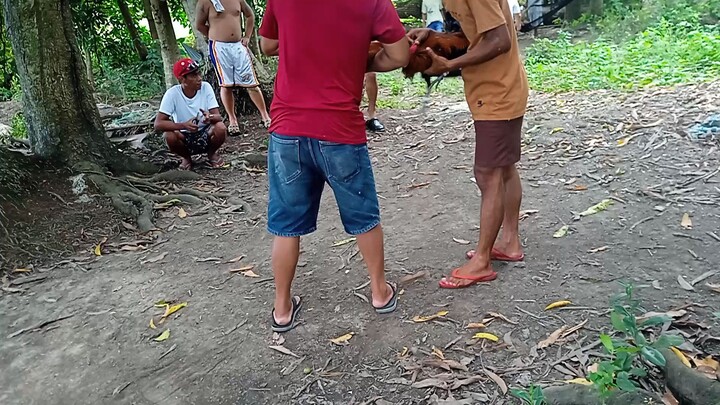 nakatabla pa ang alimbuyogin ko dnpinatalo pusta namin