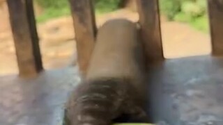 (ดีใจ) พี่น้องทั้งหลาย หลังจากพยายามอย่างไม่ลดละ ในที่สุดก็ได้กินข้าวแล้ว