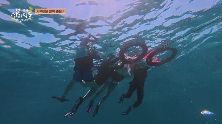 (eng cc) Fresh off the Sea in Calape S01 - 3