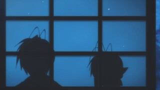 “你已经足够努力了，已经可以了....”