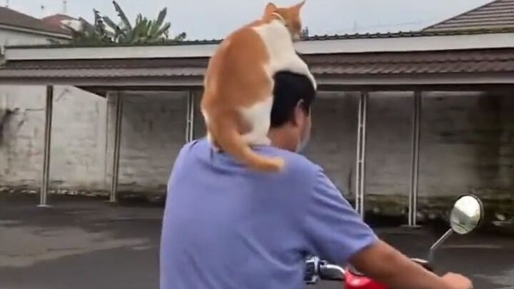 คนหนึ่งกล้าขึ้นรถ อีกคนกล้าขับ