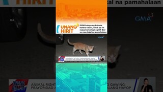 P10M halaga ng bakuna kontra rabies, hindi pa rin naipamamahagi ng DA BAI | Unang Hirit