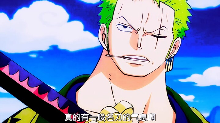 Zoro Melewatkan Nidai Kijihachi