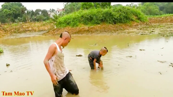 Bắt Gặp Hố Nước Nhiều Cá Mà Không Ai Biết - Mao Đệ Đệ Bắt Cả Mỏi Tay Không Hết