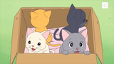 Dịch vụ mèo #anime #schooltime