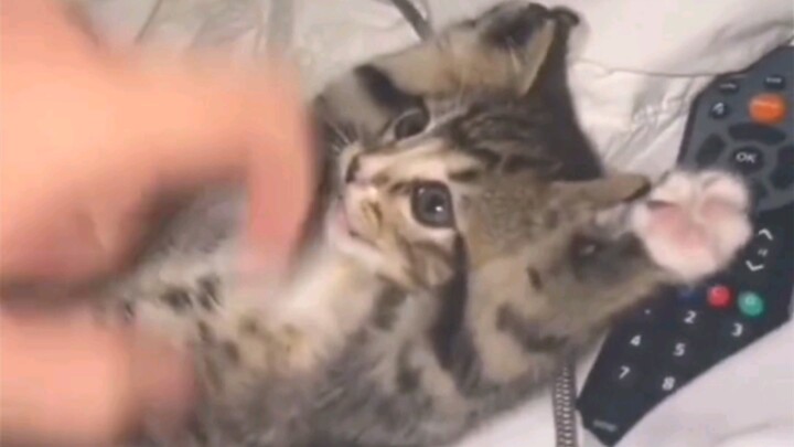 Quickly share this with the cutest person in the world!