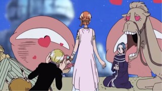 That camel is falling in love with Nami 🤣