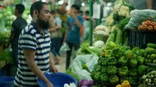 Bachelor Point Season 5 Episode 1 (ব্যাচেলর পয়েন্ট পর্ব ১)  Ziaul Haque Polash | Marzuk Rasel 2025