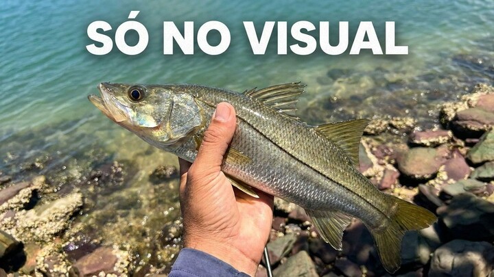 PESCARIA DE VISUAL Robalo atacando a isca Nakamarão na água cristalina