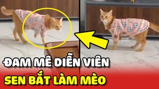 Khi bạn muốn làm DIỄN VIÊN nhưng con Sen bắt phải LÀM MÈO 😂 | Yêu Lu