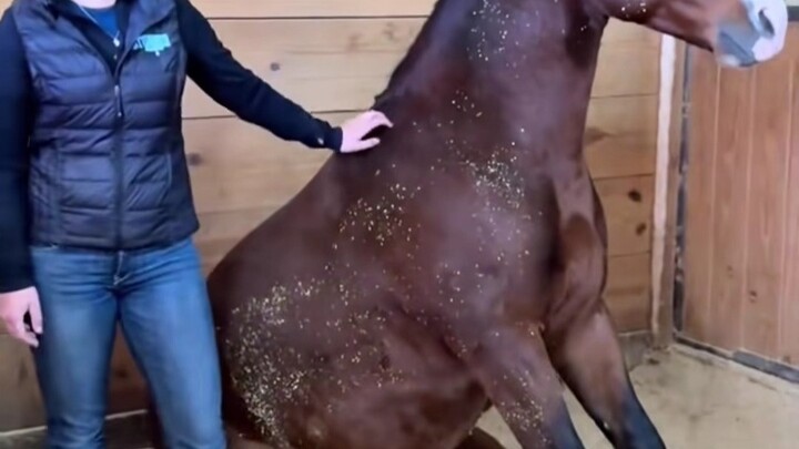 Kalau Ma marah malah jadi imut banget!!