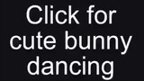 bunny dancing