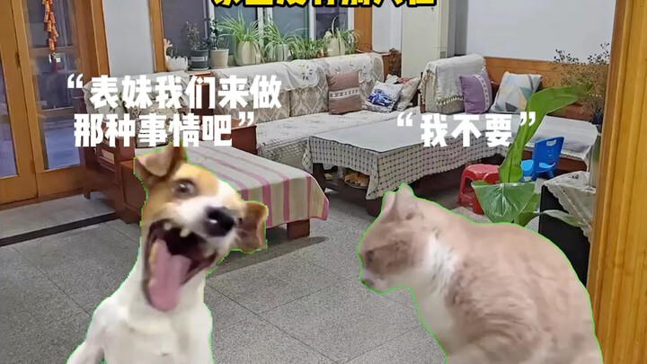 Me, the One Who Got Bullied
