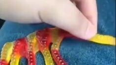 LOOK AT THIS I FOUND A GUMMY ELEPHANT