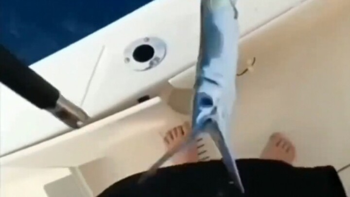 Cười sảng cả quá trình từ đầu đến cuối, khuyên bạn nên xem kỹ nhé～