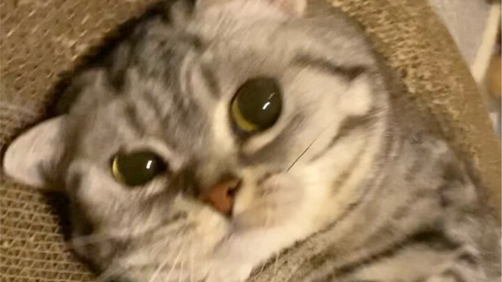 ตามฉันมา ข้างหน้านี่มีเรื่องด่วน ลองจับดูสิ